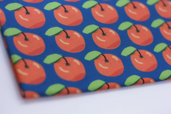 Fabric: Satsuma (2 yds)